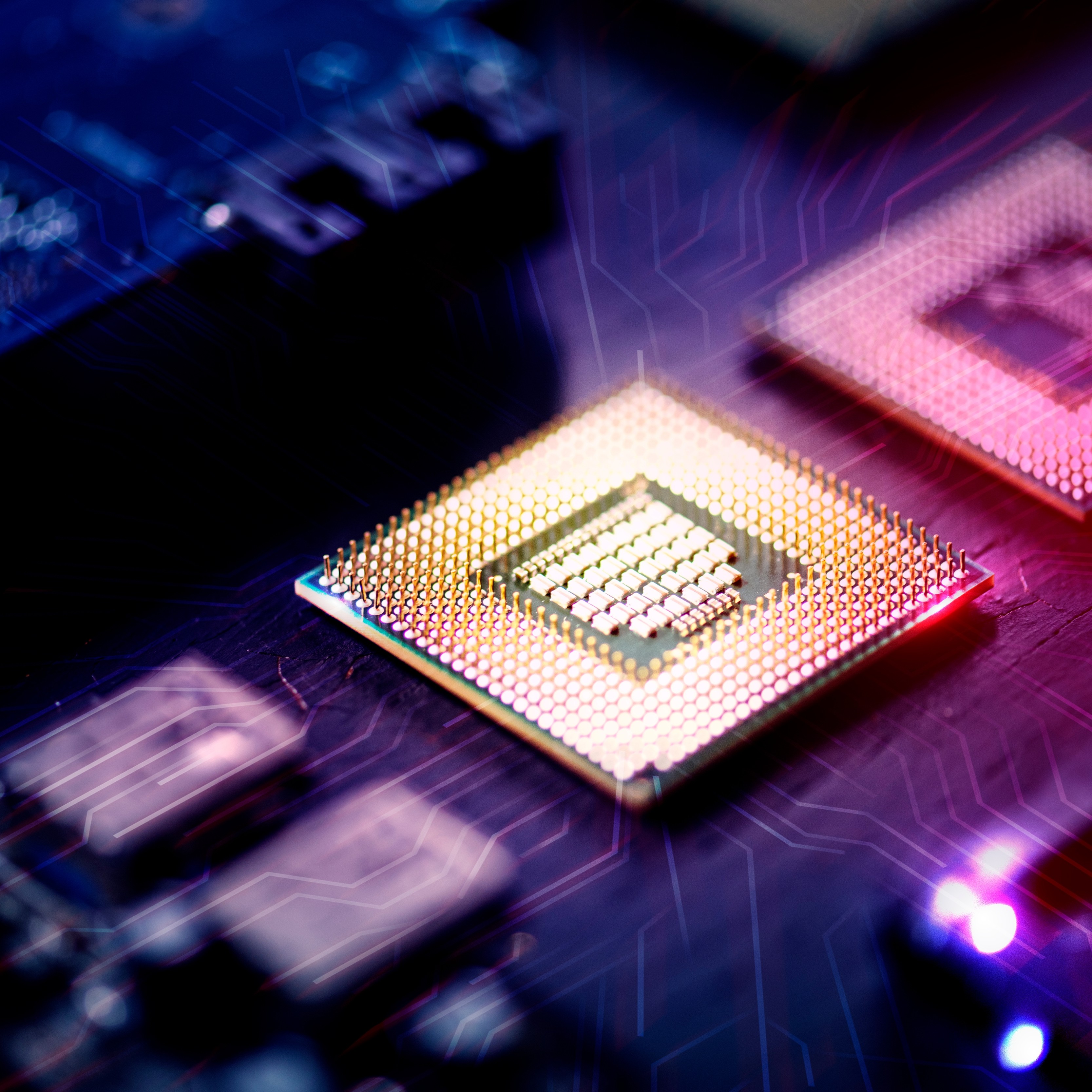 Image d'une personne