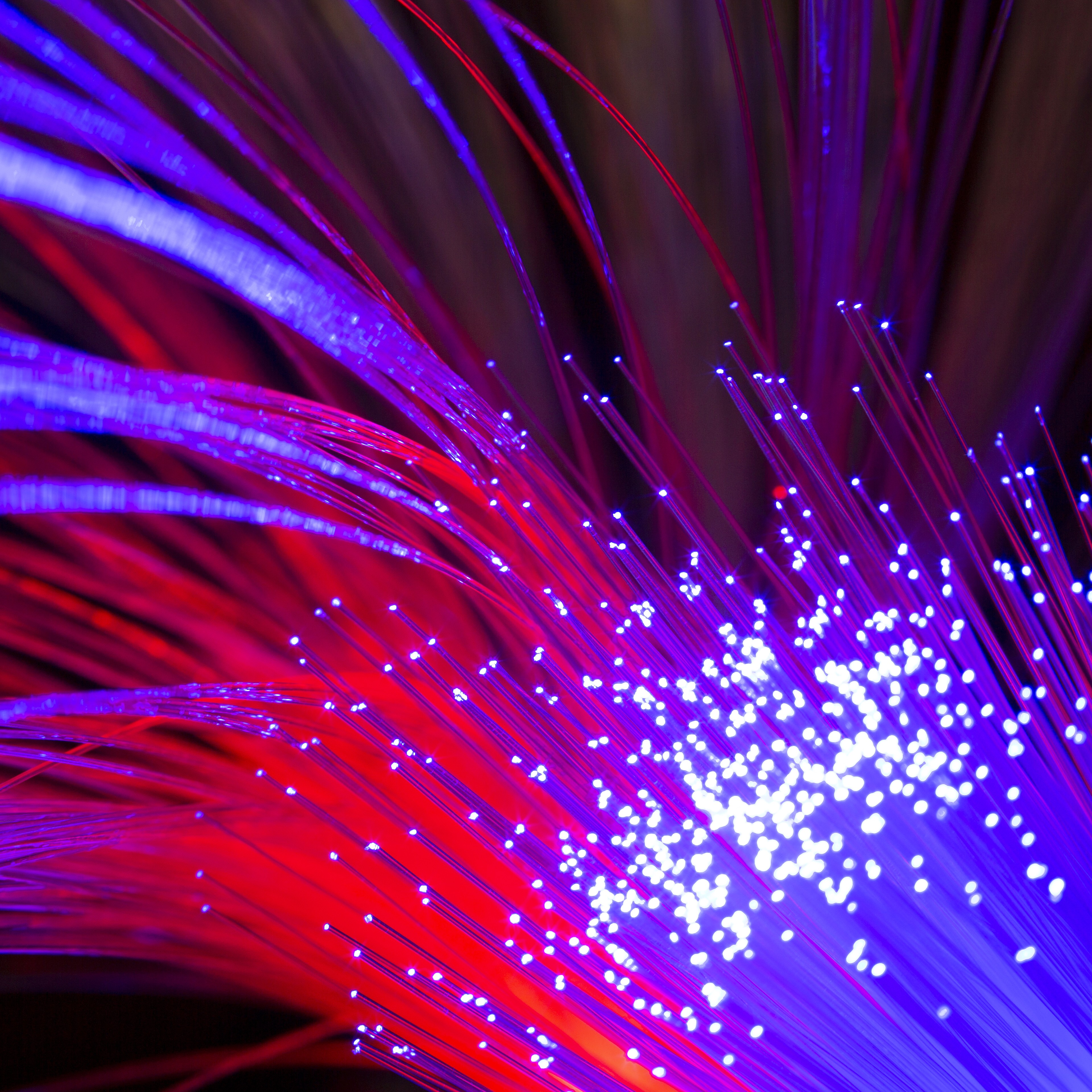 Image d'une personne